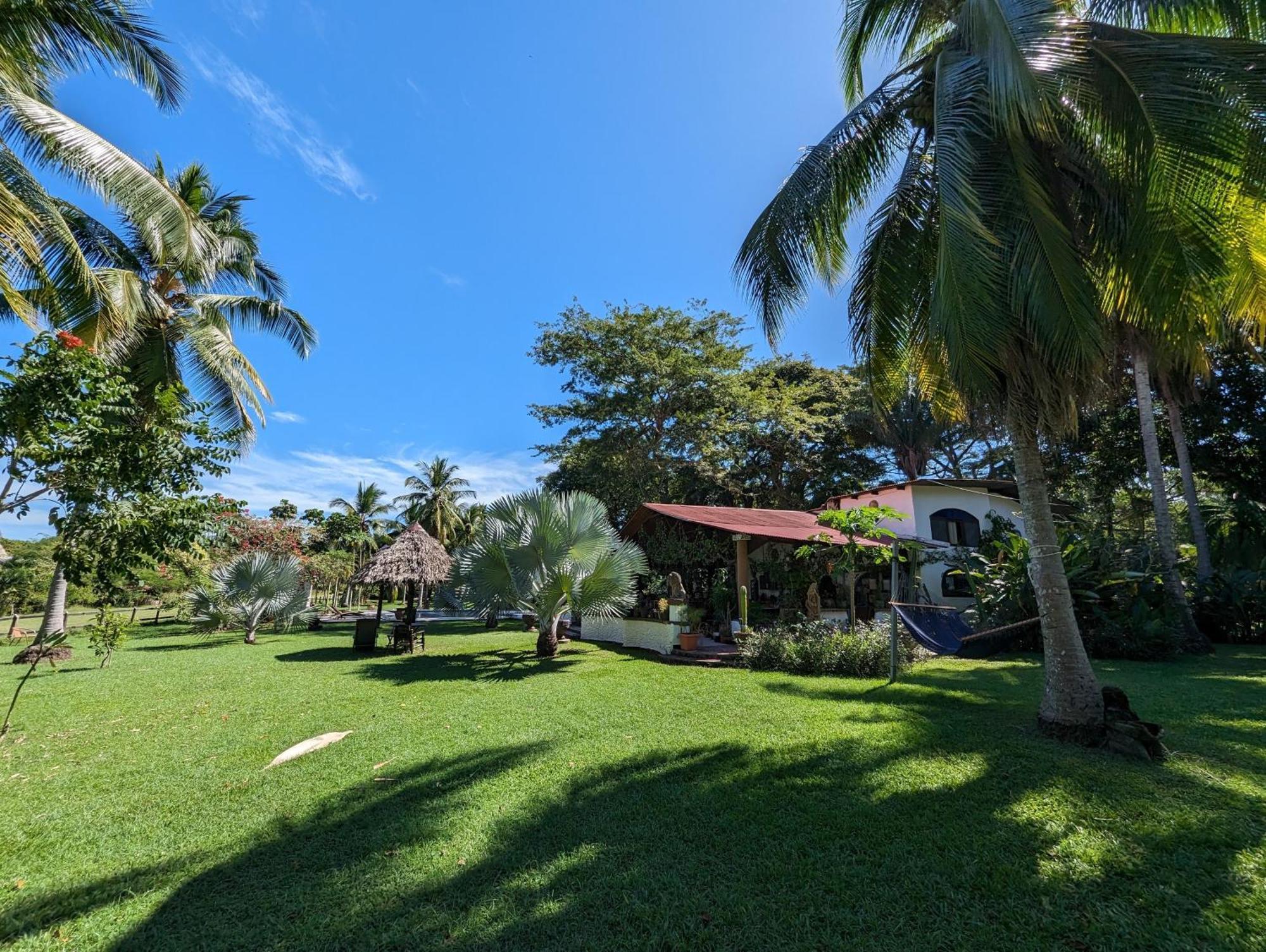 Spirit Of Jungle Lodge ซามารา ภายนอก รูปภาพ